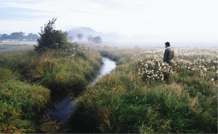 A man in a hat in the meadow